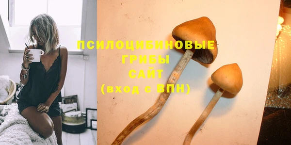 дурь Алексин