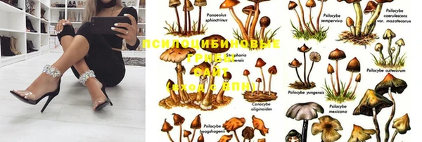 дурь Алексин