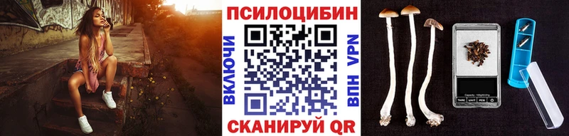 darknet какой сайт  Мирный  Галлюциногенные грибы Magic Shrooms 