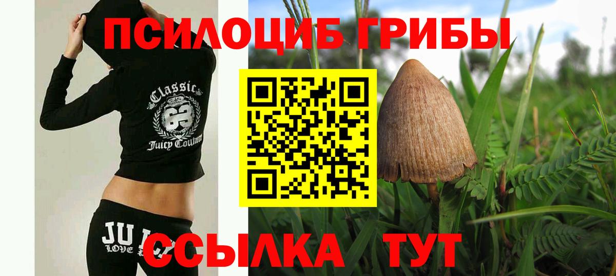 Галлюциногенные грибы ЛСД  Вход с VPN  Мирный  Псилоцибиновые грибы Cubensis 